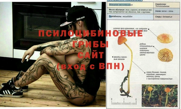 MESCALINE Алзамай