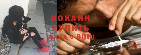 тгк Алексеевка
