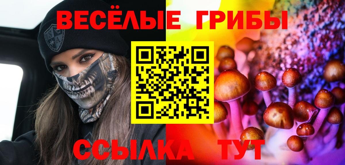 Псилоцибиновые грибы Psilocybine cubensis  Вход с VPN  Галлюциногенные грибы мухоморы  Ейск 
