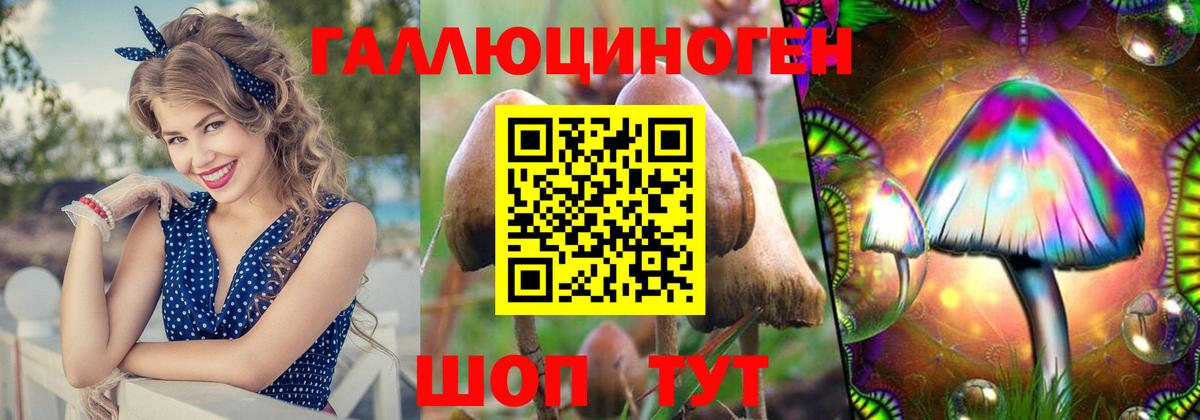 Псилоцибиновые грибы ЛСД Ейск